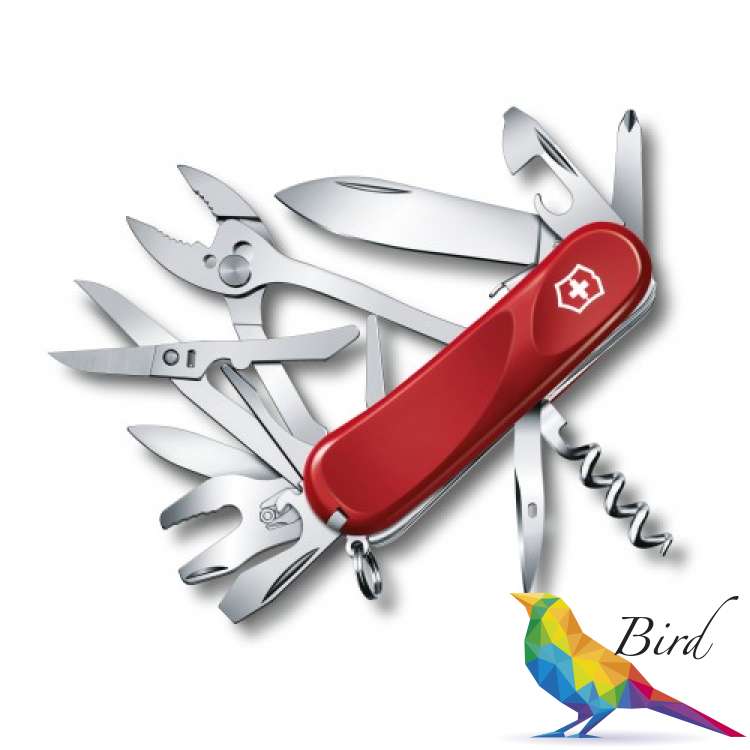 Купить Складной нож Victorinox Evolution S557 2.5223.SE от Официального Дилера в Украине⭐100% гарантия качества. ✈Быстрая доставка. ➤Заходите! Фото Складной нож Victorinox Evolution S557 2.5223.SE | Интернет магазин Bird.in.ua